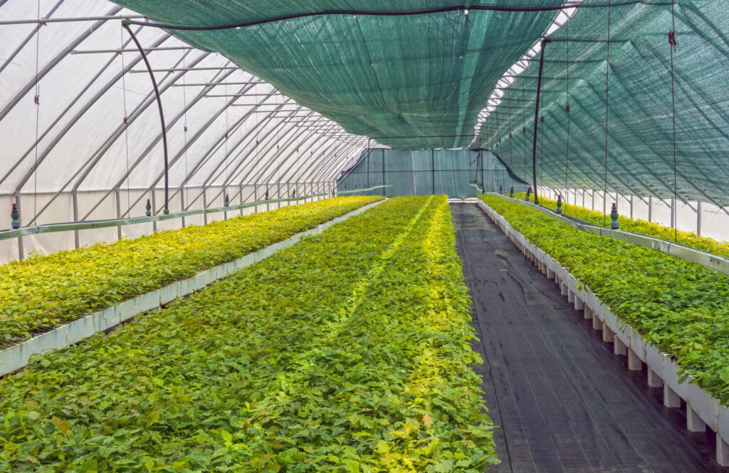 Polyhouse Project – Pune